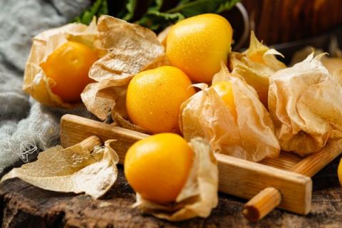 菇娘果的功效与作用（菇娘果的功效与作用果）