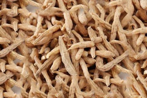 太子参泡水喝的功效与作用 太子参泡水喝有什么功效