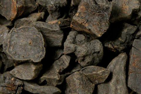 制首乌的功效与作用 制首乌的功效与作用及食用方法