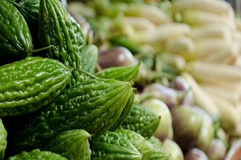 山苦瓜的功效与作用 山苦瓜的功效与作用蕃一小番薯