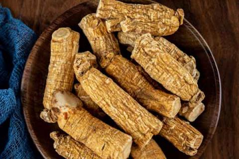 生晒参的功效与作用（生晒参的功效与作用和副作用）