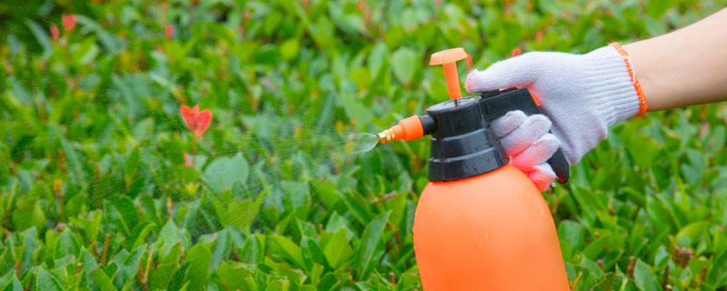 农药稀释倍数怎样换算 农药稀释倍数怎么计算