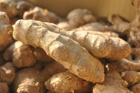 生姜茶的功效与作用 焦米生姜茶的功效与作用