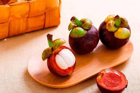 山竹有哪些功效(山竹有什么功效)