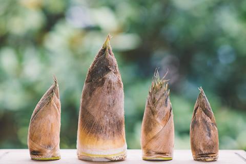 甜笋的功效与作用（甜笋有什么功效）