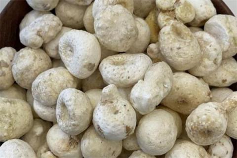 麻芋子的功效与作用 野生麻芋子有什么药用