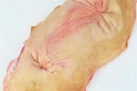 牛欢喜的功效与作用（牛欢喜有什么功效）