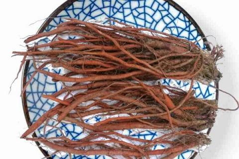 血参根的功效与作用（血参根的功效与作用和副作用）