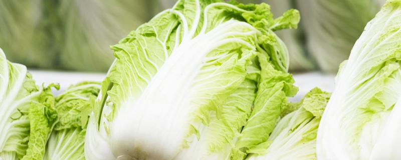 高山蔬菜连作障碍的预防与控制措施（设施蔬菜连作障碍）