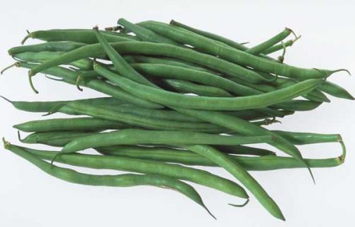 四季豆(四季豆的功效与作用)