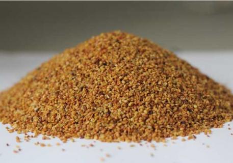 苦荞茶（苦荞茶的功效与禁忌）