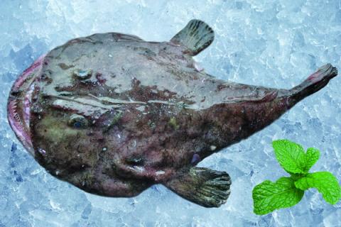 安康鱼 安康鱼雄性可以长到雌性身上