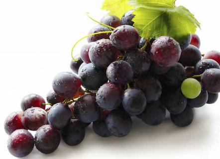 夏黑葡萄图鉴 夏黑葡萄简介