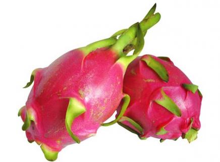 火龙果图片（火龙果图片实拍）