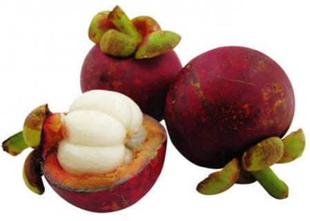 山竹图片（山竹图片树）