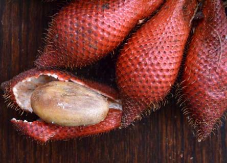 蛇皮果（蛇皮果的图片）