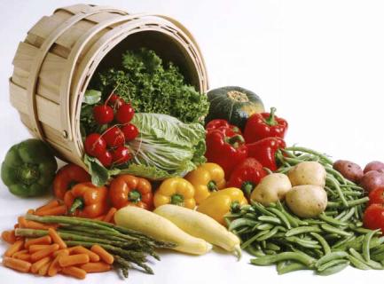 有机蔬菜 有机蔬菜是什么意思