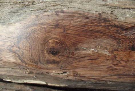 海南黄花梨 海南黄花梨的价格目前市场价多少