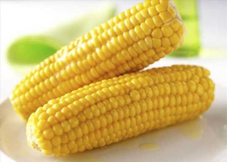 农产品 农产品商标名称