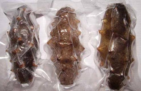 即食海参产地在哪里 即食海参哪里有卖