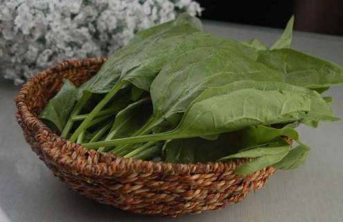 菠菜图片(菠菜图片大全高清图片)