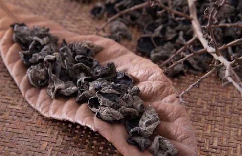 木耳的种类及图片大全（木耳有哪些）