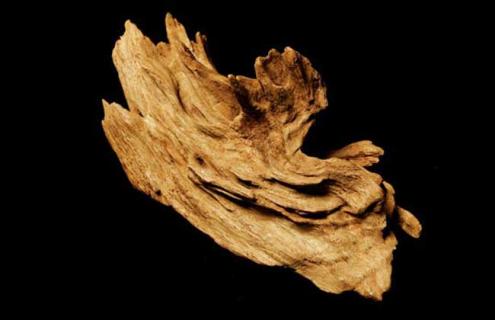 沉香种类图片大全(沉香种类及鉴别图文)