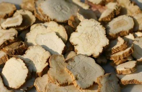 白芷种类图片大全 白芷图片植物图片