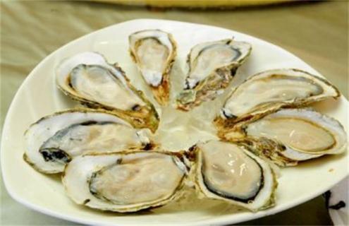 生蚝养殖方法（生蚝养殖方法图片）