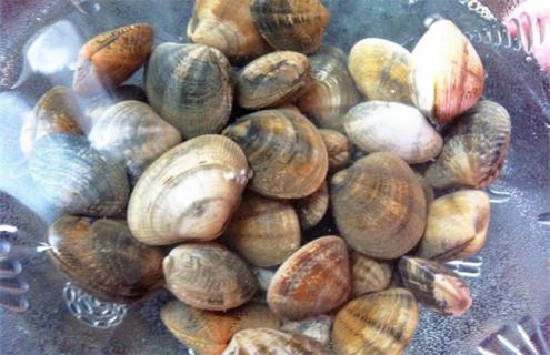 花甲的养殖方法 养殖花甲的生长条件