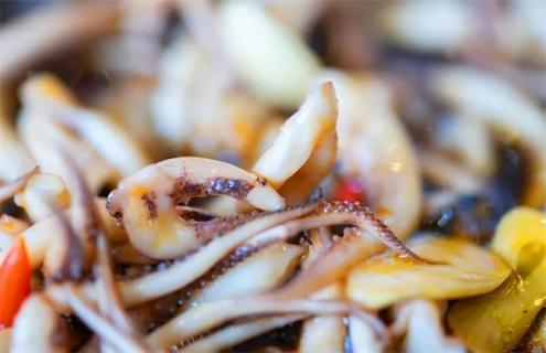 鱿鱼可以人工养殖吗 鱿鱼能人工养殖吗?