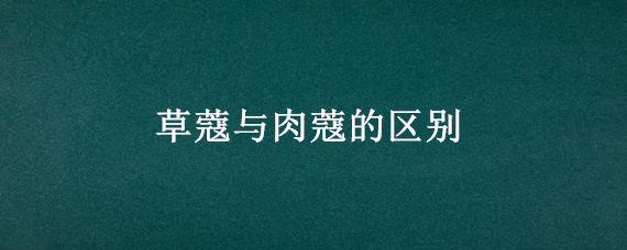 草蔻与肉蔻的区别（草蔻与肉蔻的区别图 肉豆蔻）