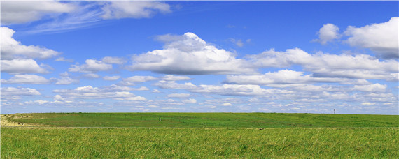 除草剂使用方法 除草剂使用方法主要有