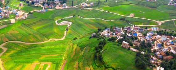 有机农业的意义 什么是有机农业有哪些特点