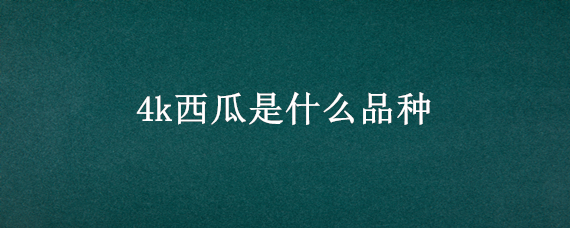 4k西瓜是什么品种 4k西瓜品种介绍