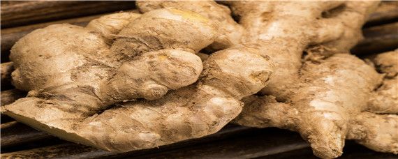 怎么种生姜（怎么种生姜才产量高）