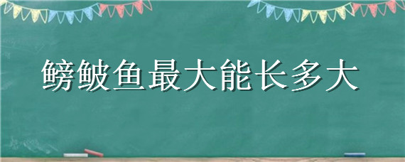 鳑鲏鱼最大能长多大 鳑鲏鱼最大能长多大多少钱斤