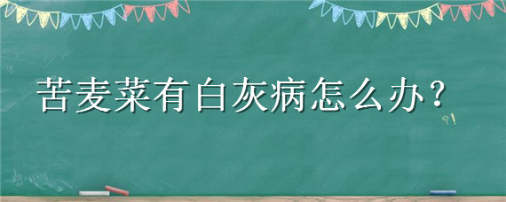 苦麦菜有白灰病怎么办（苦麦菜叶子长白灰是怎么办）