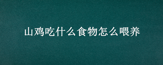 山鸡吃什么食物怎么喂养（山鸡怎么饲养?吃什么饲料）