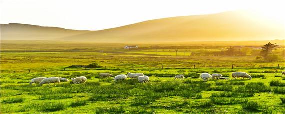 家庭农场注册条件 青岛家庭农场注册条件