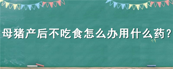 母猪产后不吃食怎么办用什么药 母猪产后不吃食打什么药