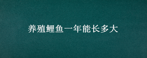 养殖鲤鱼一年能长多大（养殖鲤鱼一年能长多少斤）