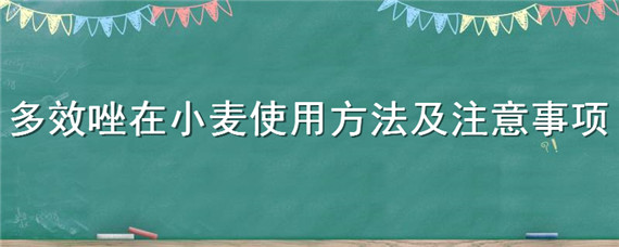 多效唑在小麦使用方法及注意事项 小麦喷施多效唑应该注意的几个问题