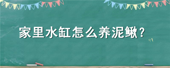 家里水缸怎么养泥鳅（水缸怎样养泥鳅 家庭）