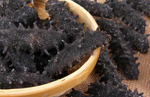 海参的市场价格（海参种类价格）