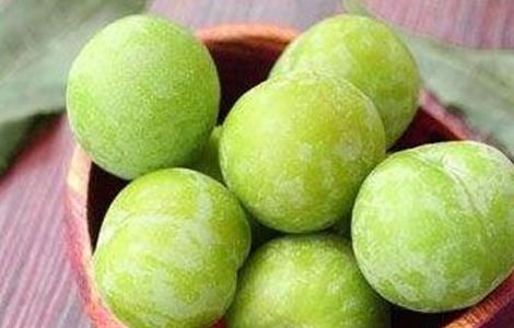 李子树种植的管理 李子树种植的管理与管理