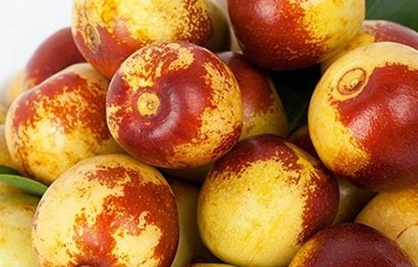 种植冬枣所需要的环境(冬枣的栽培技术和适合环境)