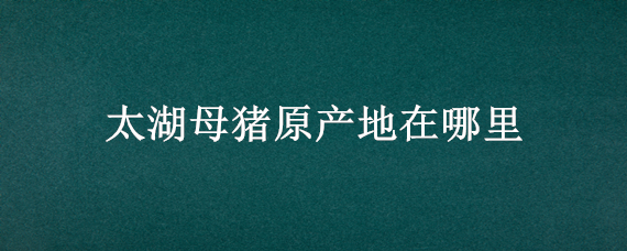 太湖母猪原产地在哪里（太湖母猪原产地在那里）