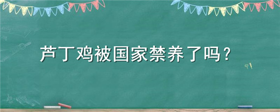 芦丁鸡被国家禁养了吗 国家禁止养殖芦丁鸡