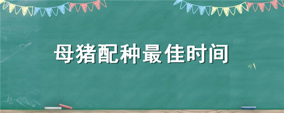 母猪配种最佳时间 第一胎母猪配种最佳时间